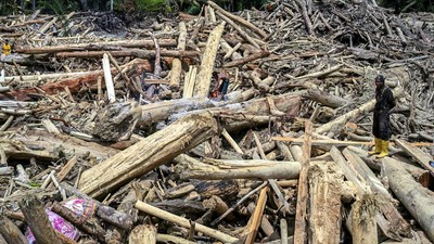 kayu-glondongan-di-banjir-sumatra-utara-1764901553341_169