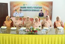 Ramadhan Tanpa Drama, DWP Bengkalis Ikuti Webinar se-Riau