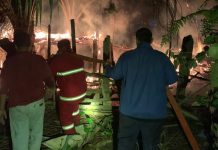 Puluhan Ternak Kambing dan Ayam di Kuansing Ludes Terbakar Akibat Api Unggun