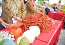 Harga Lebih Murah, Operasi Pasar Murah Pemprov Riau Hadir di Kampar