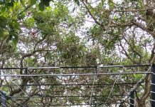 Dana TBG dari CSR BRK Syariah Diduga Susut, Transparansi Dipertanyakan