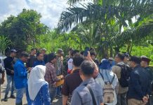 Dua Sekolah Nasional Terintegrasi Segera Dibangun di Riau, Fasilitas Bertaraf Internasional