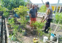 Polsek Dumai Kota Dorong Ketahanan Pangan Lewat Program Pekarangan Bergizi