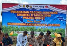 Polres Dumai Bersama Petani Tanam Jagung Serentak di Pangkalan Sesai