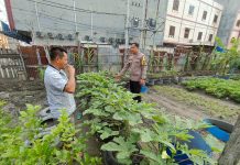 Bhabinkamtibmas Rimba Sekampung Cek Pekarangan Bergizi, Dukung Ketahanan Pangan di Dumai Kota