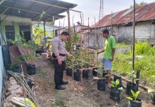 Ketahanan Pangan Bergizi, Bhabinkamtibmas Dumai Kota Pantau Tanaman Warga