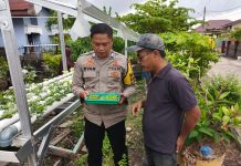 BRIPKA Rian Akbar Dorong Pemanfaatan Lahan untuk Tanaman Selada di Gang Binjai 2