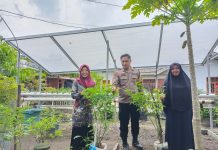 Bhabinkamtibmas Rimba Sekampung Cek Ketahanan Pangan Warga, Tanam Cabai di Jalan Cempedak