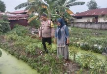 Dukung Swasembada Pangan, AIPTU Fani Tampubolon Pantau Kebun Cabai Warga