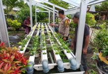 Tanam Sawi Dan Pakcoy, Bhabinkamtibmas Rimbas Ajak Warga Dukung Ketahanan Pangan