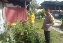 Dukung Ketahanan Pangan, Bhabinkamtibmas Kelurahan Bintan Tanam Cabe di Pasar Leppin