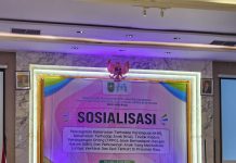 Cegah Kekerasan Terhadap Perempuan dan Anak, Pemprov Riau Dorong Sinergi Seluruh Pemangku Kepentingan