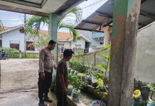 Bhabinkamtibmas Kelurahan Rimba Sekampung Lakukan Pengecekan Ketahanan Pangan Bergizi, Fokus pada Budidaya Cabai