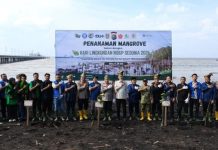 Peringati Hari Lingkungan, Kapolda Riau Tanam 1.000 Mangrove di Pantai Dumai