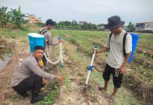 Bhabinkamtibmas Kelurahan Bintan Cek Penanaman Jagung, Dukung Program Swasembada Pangan Pemerintah