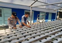 Polsek KSKP Dumai Cek Perkembangan Pakcoi Hidroponik Tahap III, Dukung Ketahanan Pangan Nasional