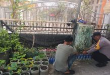 Bhabinkamtibmas Kelurahan Laksamana Laksanakan Pengecekan Ketahanan Pangan Bergizi melalui Penanaman Cabai