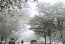 Kabut Pekat Selimuti Kota Dumai, Hampir Seluruh Sekolah Liburkan Siswa